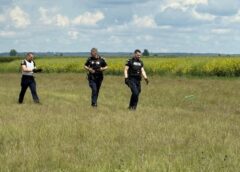 CrimĂ