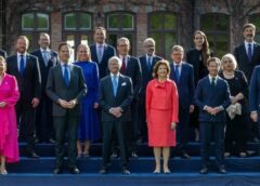De La Reuniunea Nato Din Suedia, Oana Ţoiu Atacă Psd După Sesizarea La Ccr Pe Programul Safe: 'faceţi Un Joc Periculos'