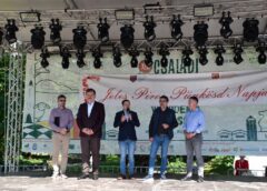 Festivalul Folcloric „rusaliile Roșii” – Gala Dansului Popular Maghiar – Ediția A Xiv A