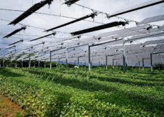 Fotovoltaice în Agricultură