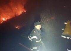 Incendiu Masiv în Caraș Severin: Ard 20 De Hectare De Pășune şi Pădure