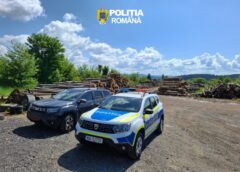 Ipj Covasna: O Nouă Acțiune Pentru Combaterea Ilegalităților în Domeniul Silvic