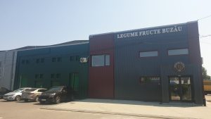 Legume Fructe