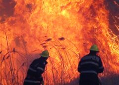 Mai Multe Incendii De Vegetație Uscată în Maramureș