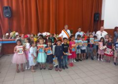 Primăria Comunei Mireșu Mare: 260