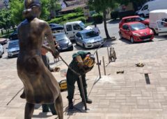 Primăria Craiova și A Scos Cățeii în Stradă