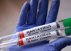 Primul Caz De Hantavirus Confirmat în România