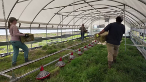Proiect De Hrană Sănătoasă și Agricultură Sustenabilă