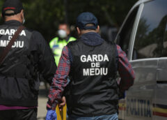 Rețea De Gunoaie Ilegale, Vizată De Controale în Forță