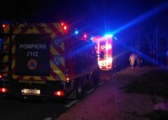 Tragedie La Stroiești: O Femeie A Fost Lovită Mortal De Trenul Ir 1831 Timișoara – Iași