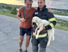 Un Miel Prins între Bolovani și Un Profesor Care A Refuzat Să L Abandoneze