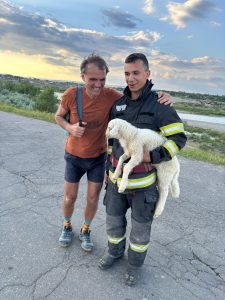 Un Miel Prins între Bolovani și Un Profesor Care A Refuzat Să L Abandoneze