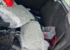 Vânzătorii De Droguri Au Fost Prinși! În Jelna Au Vândut 3 Kg De Cannabis Cu 1