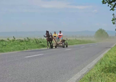 Video Rafale Cu Praf în Bărăgan și Câmpia Râmnicului
