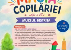 1 Iunie – Curtea Muzeului: Spectacole De Dans, Desene Pe Asfalt, Tobogan Gonflabil Etc! Program Complet!