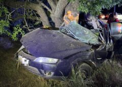 Accident Rutier Pe Dj 222, Pe Direcția Agighiol – Sabangia