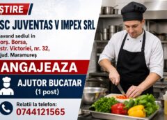 Angajare în Borșa: Sc Juventas V Impex Srl Caută Ajutor Bucătar