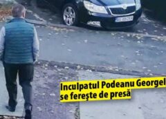 Avocatul Bătrânelor Care S Au Trezit Cu Pădurea Tăiată Exclamă La Procesul Lui Balaş & Co: „personalul Silvic A Pus Lupii Paznici La Oi, în Loc Să Aibă Grijă De Fondul Forestier!”