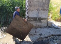 Barajul De La Caraula, Sabotat Cu Dale De Beton şi Piei De Oaie