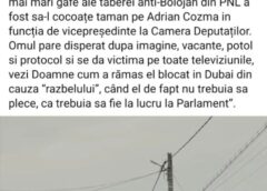 Bursa Zvonurilor și A Nechezatului Politic