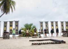 Diseară, în Semifinala Survivor, șase Concurenți Luptă Pentru Calificarea în Ultima Seară A Competiției! Show Ul A Fost Lider De Audiență