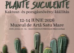 Expo Cactuși și Plante Suculente La Muzeul De Artă Satu Mare 12 14 Iunie 2026