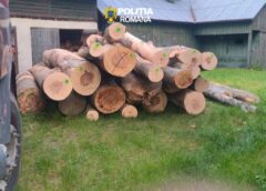 Flagrant La Lemne Cu Aviz „șmenuit”! S Au Confiscat 14 Metri Cubi De Lemn! Pădurarul Din B ța Bârgăului (39 De Ani) E Cercetat Penal!