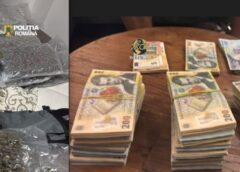 Foto: Trafic De Droguri Pe Axa Târgu Mureș – Cluj Napoca – Alba Iulia: Zeci De Kilograme + O Sumă Imensă De Bani Descoperite De Poliție și Diicot!