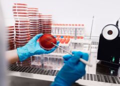 Încălzirea Globală Accelerează Rezistenţa La Antibiotice, Indică Un Studiu Internaţional