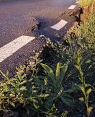 Ploile Au Afectat Mai Multe Drumuri Din Comunele Vintilă Vodă și Odăile