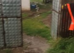 Pompierii Suceveni Au Avut O Singură Intervenție Până La Ora 21:00 După Avertizările De Vreme Severă