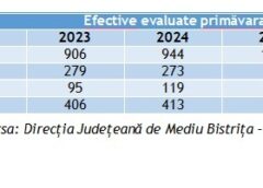 Populația De UrȘi S A Dublat în Ultimii 9 Ani, în Județul Bn! Știați Că: La Dealul Negru (cușma) E Cea Mai Mare Densitate De Urs Din Europa? Peste 10 Urși/kilometru Pătrat!