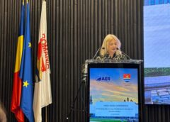 Prefectul De Timiș, Cornelia Elena Micicoi, și A Dat Demisia: „nu Voi Permite Ca Această Anchetă Să Afecteze Instituția”