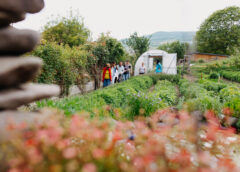 Primul Weekend Open Farm Din Harghita: 14 Ferme Deschise și Aproape 900 De Vizitatori