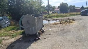 Rebu Intervine Pentru Reabilitarea Unei Platforme De Gunoi La Solicitarea Primarului Marius Dulce/ Video