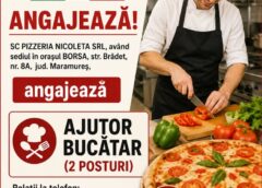 Sc Pizzeria Nicoleta Srl AngajeazĂ Ajutor BucĂtar (2 Posturi)!