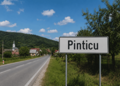 Scandal La Pinticu: Un Bărbat De 36 De Ani A Bătut 2 Tineri Din Sat! „Șmecherul” E Pe Arest!