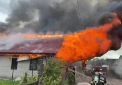 Video Incendiu Puternic La Două Locuințe Din Săhăteni
