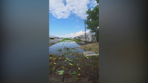 Video Potop Peste Bazinul Legumicol Glodeanu Sărat