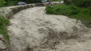 Video Rupere De Nori în Județul Buzău